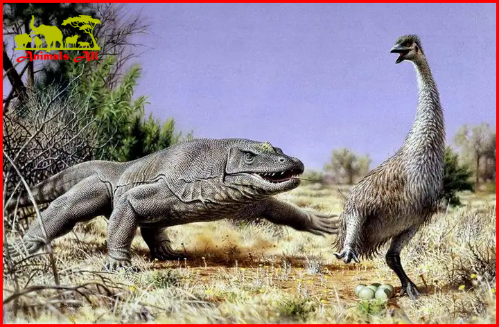 The ancient monitor lizard chasing Newton's giant bird (Photo source by network)